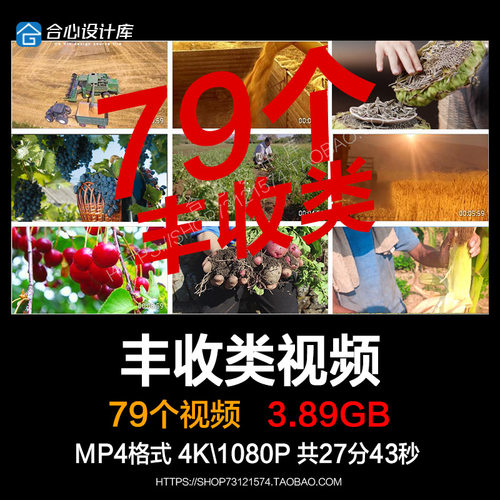 秋季丰收稻穗空境头自然节气农忙田野农业小麦水稻超高清视频素材