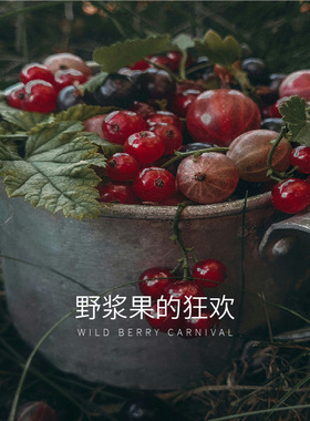 果香调香氛喷雾空调无火香氛