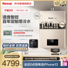 Горячая еда комплект rinnai/林内 16升c100w+sg零冷水恒温燃气热水器家用恒温天然气 Rinnai/16