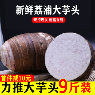 广西荔浦新鲜大芋头9斤农家特产紫藤毛芋头香芋槟榔芋蔬菜包邮10
