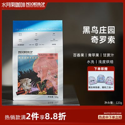 水月雨咖啡哥伦比亚黑鸟庄园奇罗索水洗手冲咖啡豆现烘熟豆美式