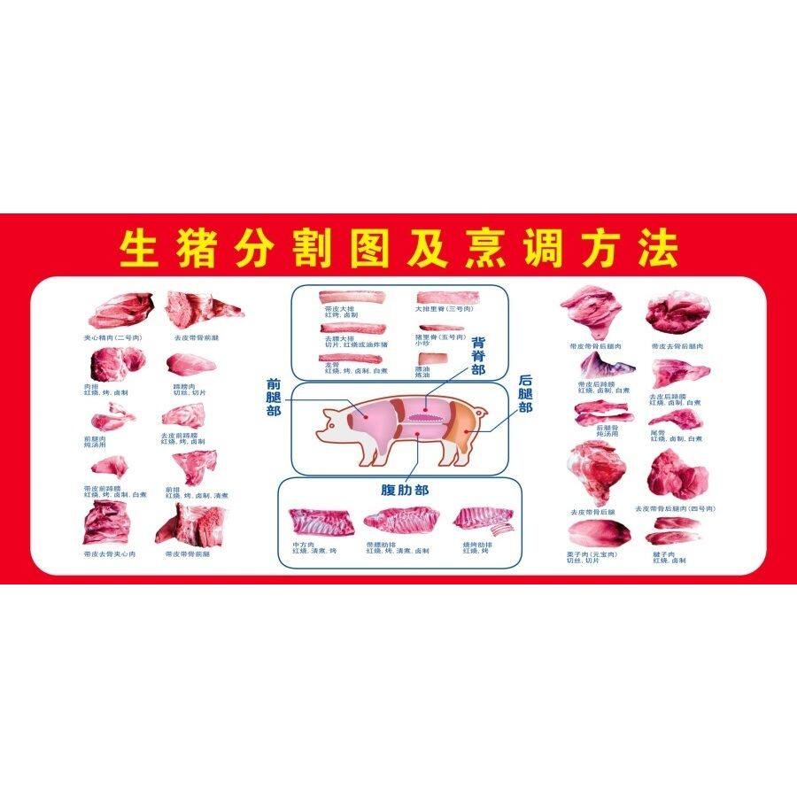 生猪分割图及烹调方法海报展板猪肉分割图猪肉分割部位图墙贴墙纸