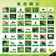 有害生物图谱挂图海报墙贴纸昆虫害虫展示图展板害虫图谱彩图参考