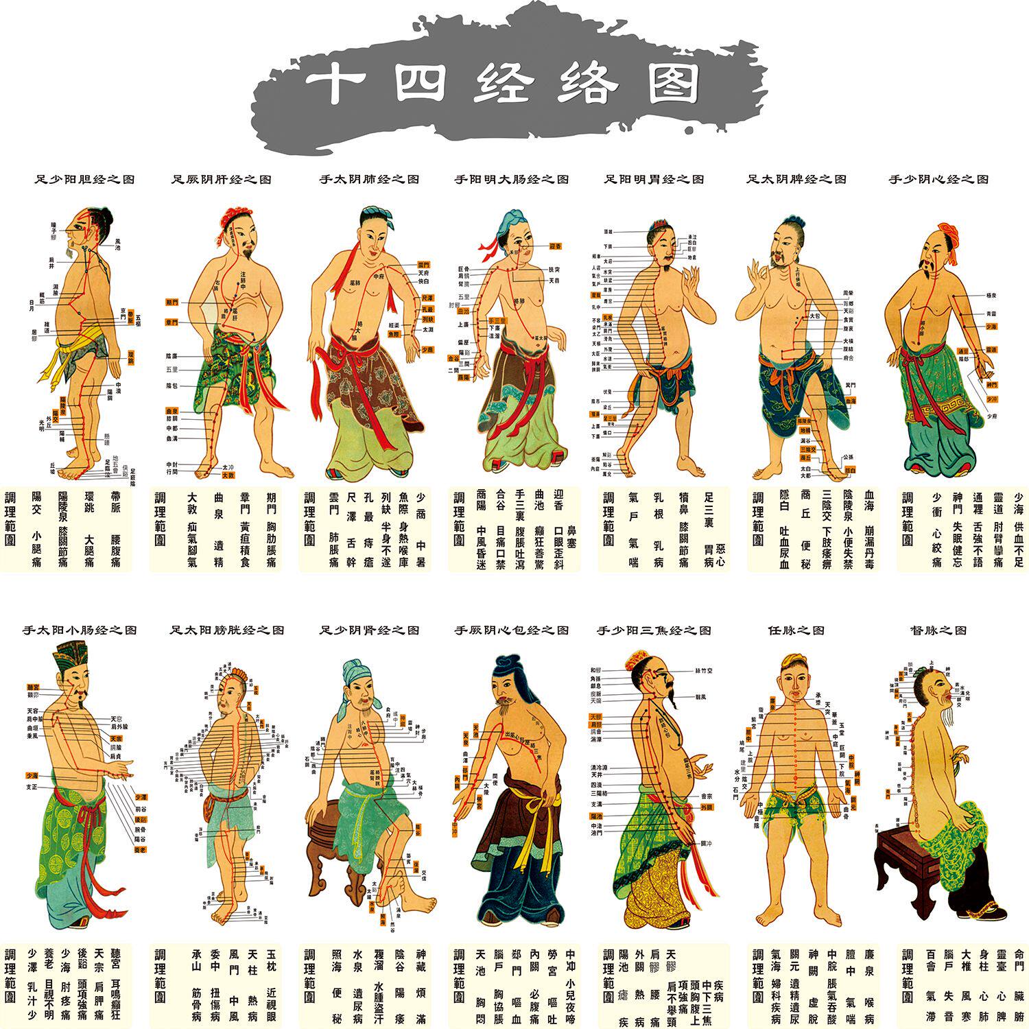 人体十四经络图套图中医馆挂画十四张海报贴画学生记穴位自粘高清