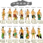 人体十四经络图套图中医馆挂画十四张海报贴画学生记穴位自粘高清
