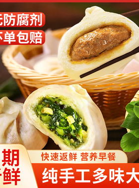 唐阿婆手工大包子20只1600g肉包菜包梅干菜早餐商用速冻加热即食