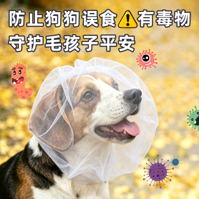 狗狗防误食头纱嘴套防吃面罩网套