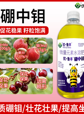 鲁丰硼中钼糖醇螯和微量元素叶面肥花生大豆豆类促花促果籽粒饱满