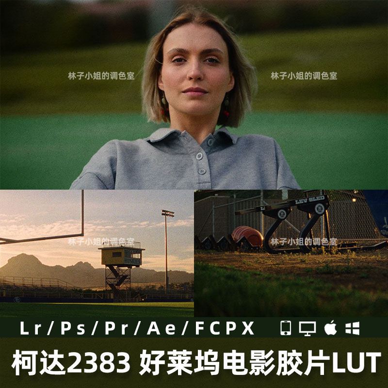柯达2383好莱坞电影胶片调色lut lr预设人像风光acrpr/ps/达芬奇