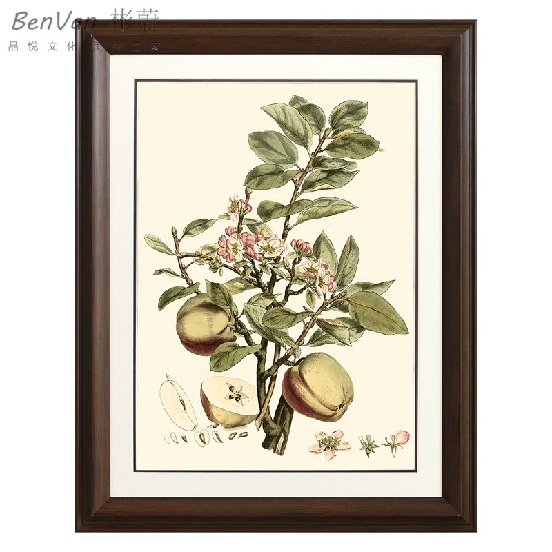 网红美式乡村田园挂画客厅沙发背景墙装饰画餐厅玄关壁画果实卧室,家居饰品,现代装饰画,淘宝优惠券,粉丝福利购,淘宝优惠卷