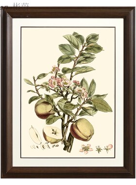 网红美式乡村田园挂画客厅沙发背景墙装饰画餐厅玄关壁画果实卧室