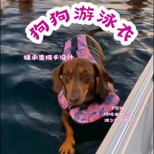 狗狗游泳衣强承重提手设计反光