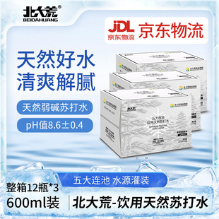 北大荒天然苏打水600ml*12瓶五大连池天然苏打水碱性水by
