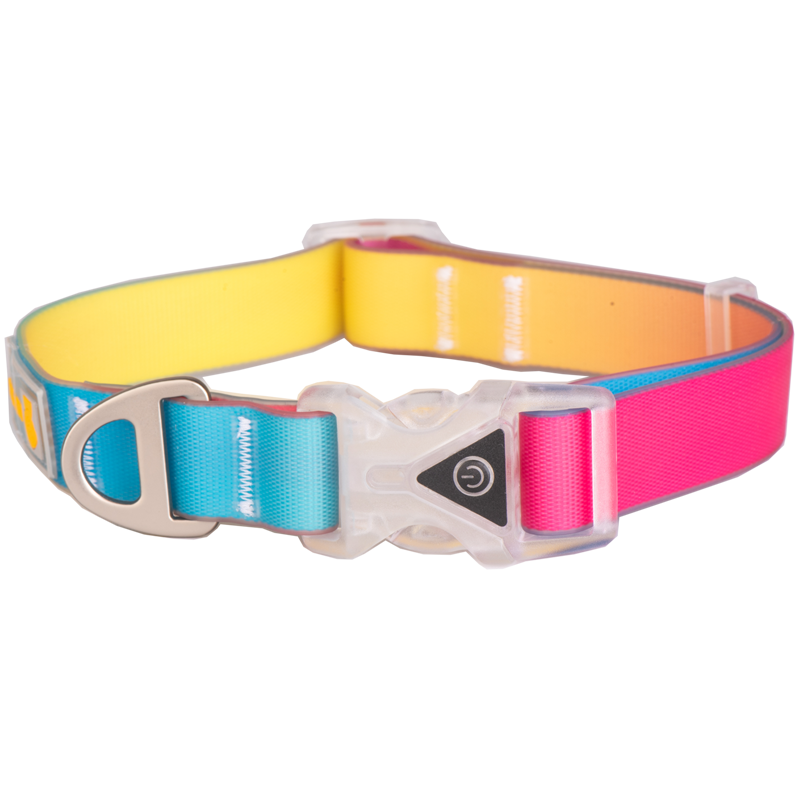 狗狗发光防水项圈LED脖圈牵引绳夜宠物遛狗灯防走丢失大中小型犬