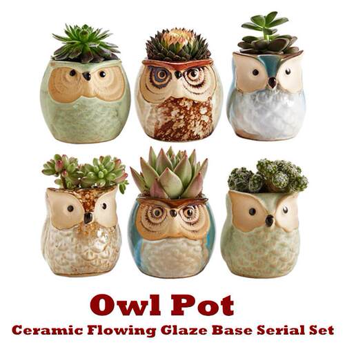 Owl Pot Succulent Cactus Flower Plant Pot Planter Garden
