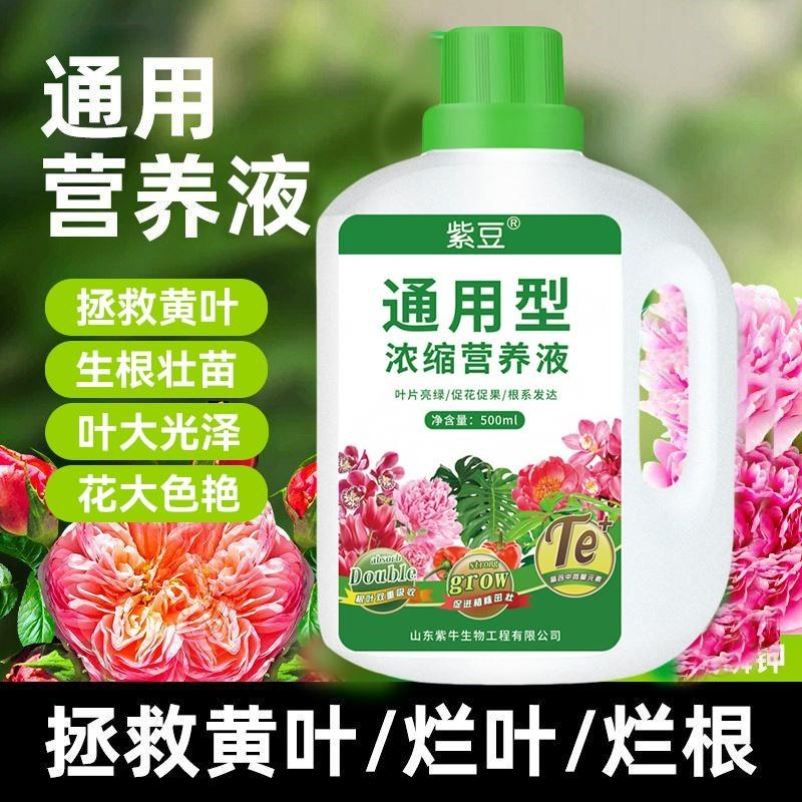 植物营养液通用型浓缩家用花卉盆栽花肥多肉绿萝发财树绿植液体肥
