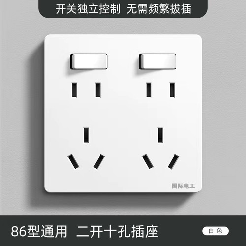 国际电工86型二开十孔10孔八孔