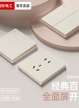 国际电工哑光可可蛋奶开关面板