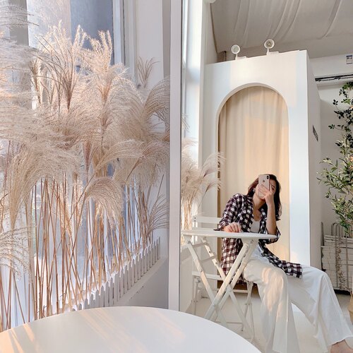 花束橱窗装饰摆件干花包邮芦苇