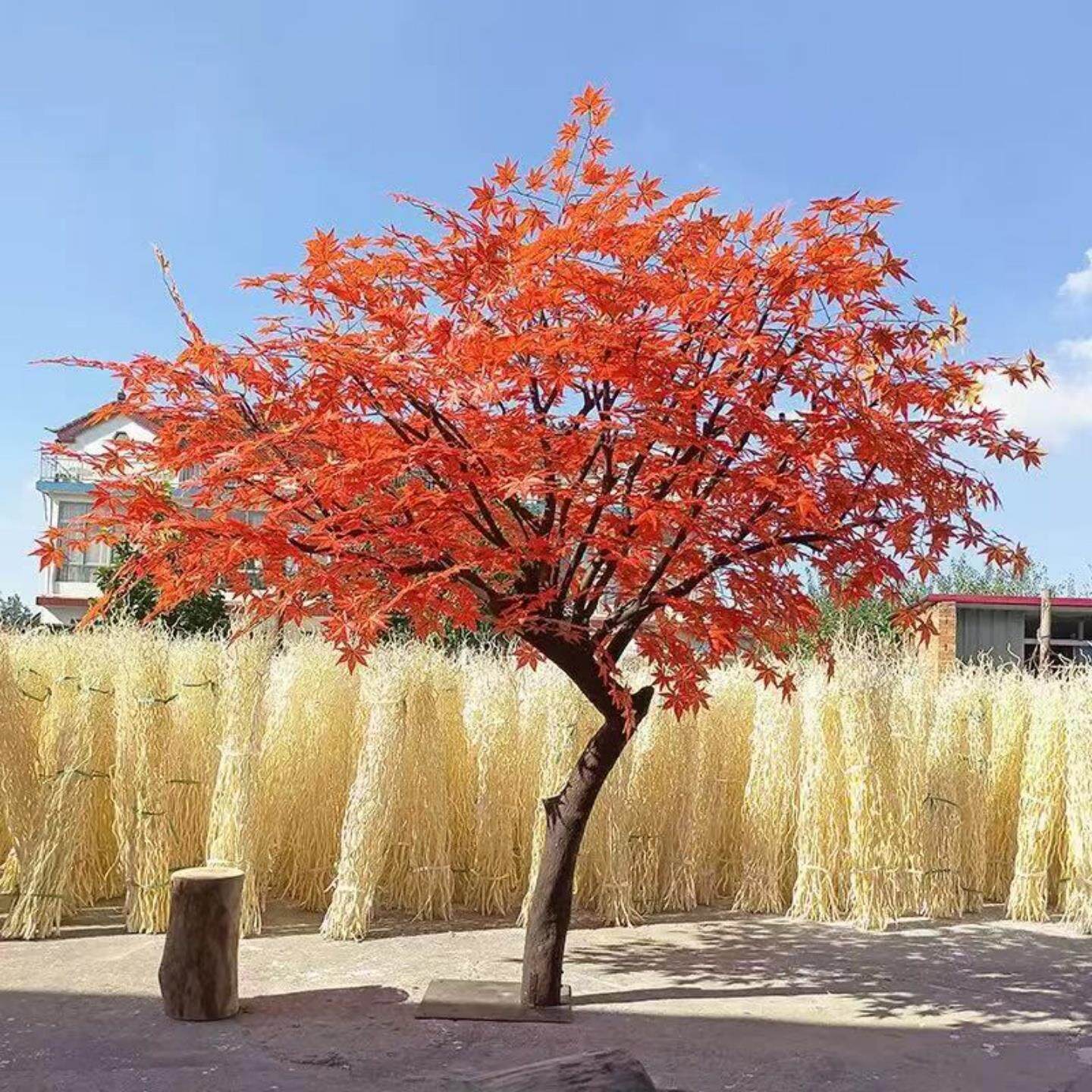仿真红枫树大型生植物装饰图片