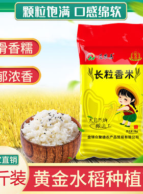当季新米5kg东北黑龙江