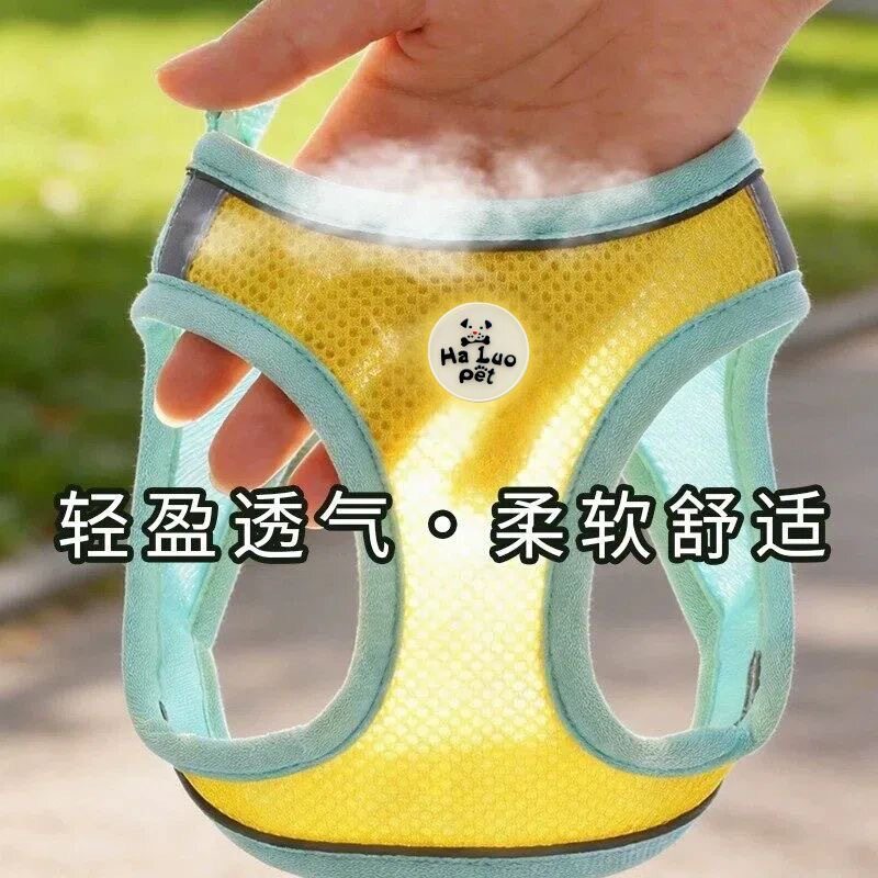狗狗牵引绳多色遛小中大
