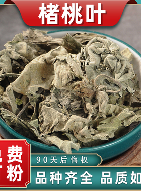 楮桃叶中药材中草药散装新鲜谷树叶干货可泡茶中药材批发可打粉