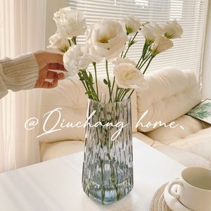 简约创意ins风轻奢透明玻璃花瓶水养插花玫瑰百合富贵竹客厅摆件
