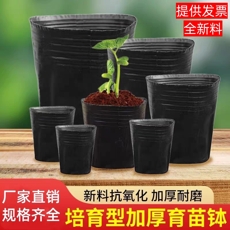 迷你小塑料杯大树营养钵水稻育苗盘育苗杯装土神器8x8的种子西瓜