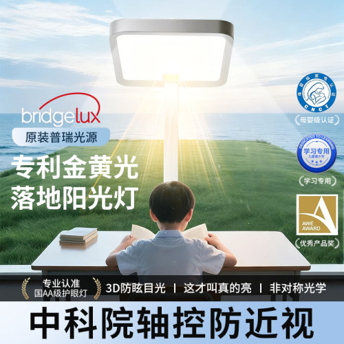 【中科院研发】TOPI落地式大路灯