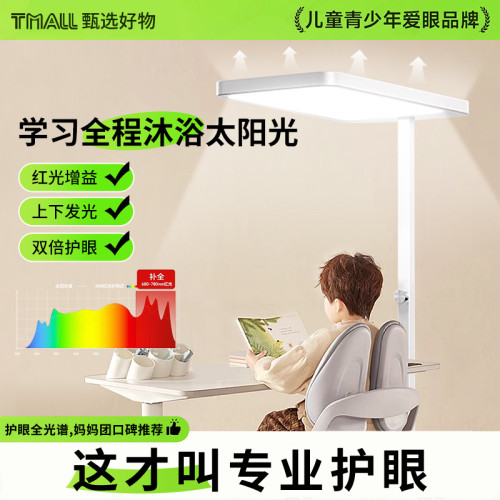 【进口双光源】大路灯落地灯立式