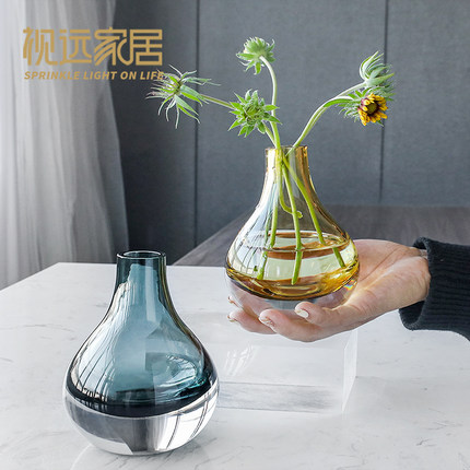 餐桌琉璃加厚花瓶轻奢玻璃透明水养干花客厅北欧摆件简约ins花器