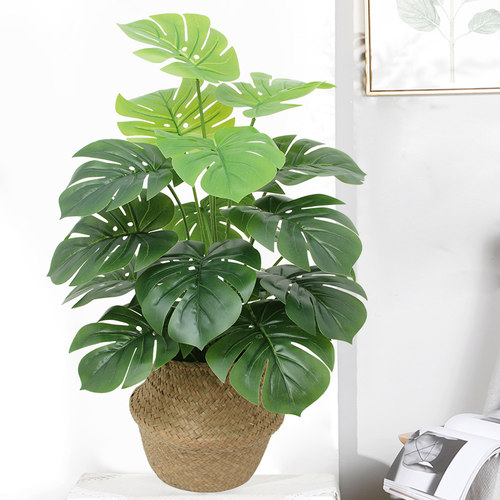 仿真植物小盆栽摆件客厅室内装饰