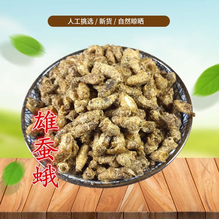 雄蚕蛾 500g 晚蚕蛾 天蛾 蚕蛾 蚕蛾 雄蚕蛾挑选非中药材粉新货