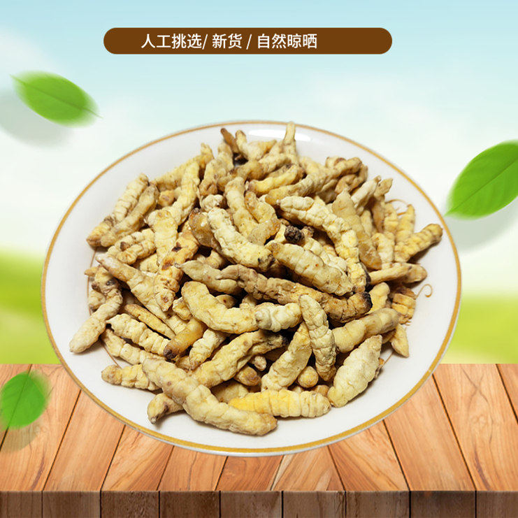 草石蚕500g地蚕土冬虫草 白虫草 泽兰根 新货手选非中药材粉