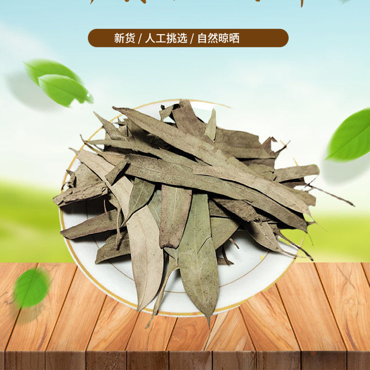 桉叶 500g 桉树叶小桉树大叶  干尤加利树叶洗脸新货非中药材粉