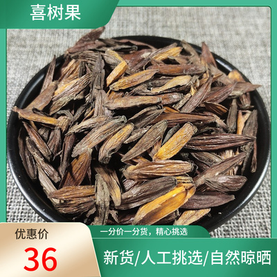 新货 喜树果 500克g包邮 千丈树 水栗子 天梓树新货非中药材粉