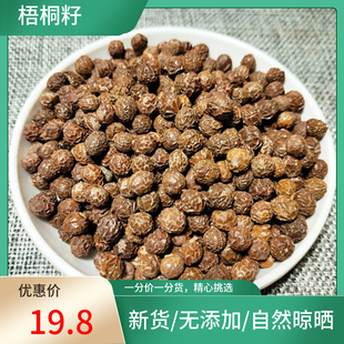 梧桐子 新货 梧桐籽 梧桐树子 中药材 瓢儿果 桐麻豌 500g