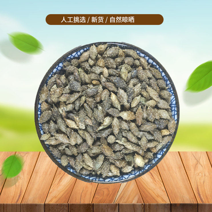 山间谷草 苍耳子 500g毛苍子老苍耳实苍棵子苍耳仁新货非中药材粉