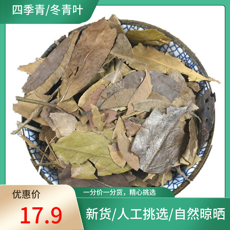 山间谷草 四季青 500g 四季青叶 红冬青 新货非中药材粉新鲜干货