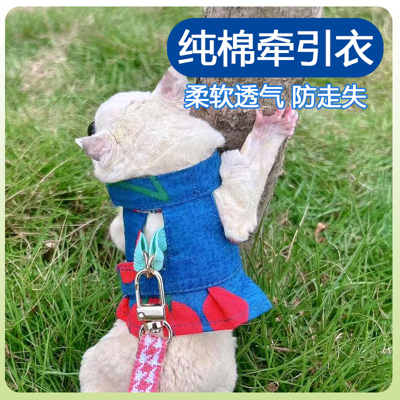 蜜袋鼯牵引绳衣服出门防走丢外出绳遛小宠专用防飞防上树拍照神器