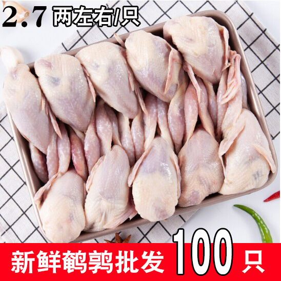 新鲜鹌鹑肉100只批发烧烤食材