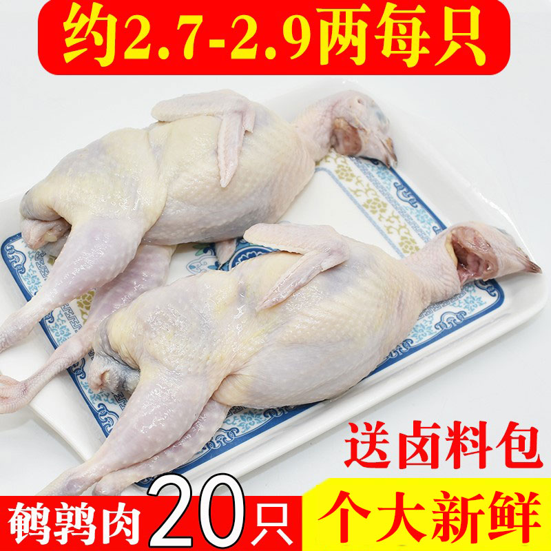 新鲜大母鹌鹑20只白条鹌鹑肉现杀速冻肉非鸽子烧烤食材生骨肉批发