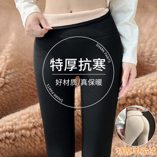 打底裤 加绒鲨鱼裤 高腰显瘦瑜伽大码 东北加厚保暖棉裤 女外穿秋冬季