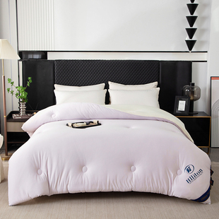 德绒发热保暖冬被裸睡亲肤柔软安睡超柔被轻奢睡眠云朵被A