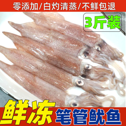 新鲜冷冻笔管鱼商用笔管鱿鱼