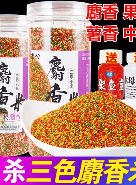 钓鱼三色米麝香酒米打窝米黑坑野钓鲫鱼鲤鱼麻团颗粒秒粘小米饵料