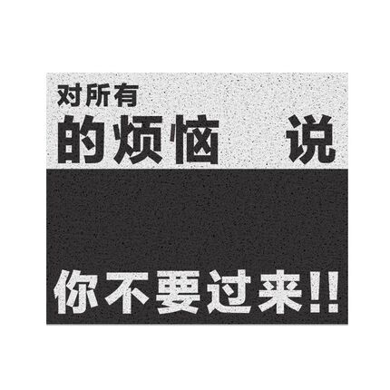 入户门地垫纯色高级进门玄关丝圈防滑脚垫可冲洗R耐磨耐脏天津地