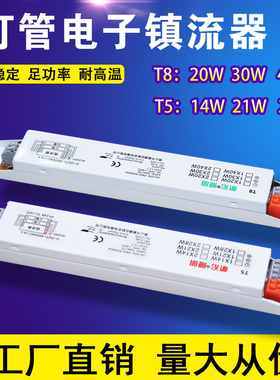 荧光灯一拖二镇流器14oW28W20W40W支架格栅灯磁导体带线电子镇流