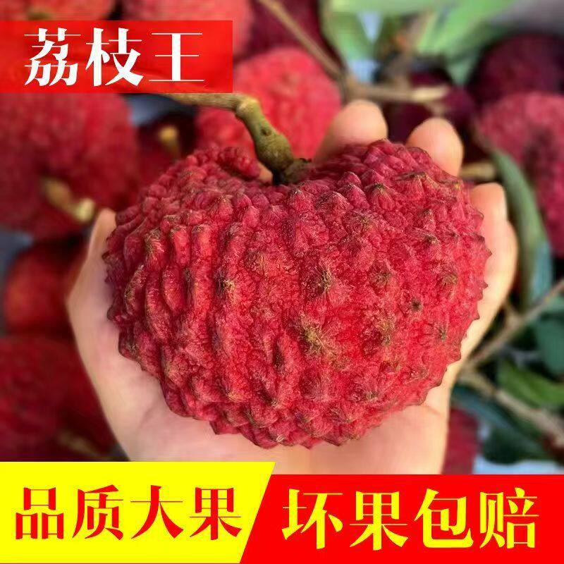 广西灵山桂味荔枝新鲜老树大果孕妇水果现摘现发当季一整箱包邮